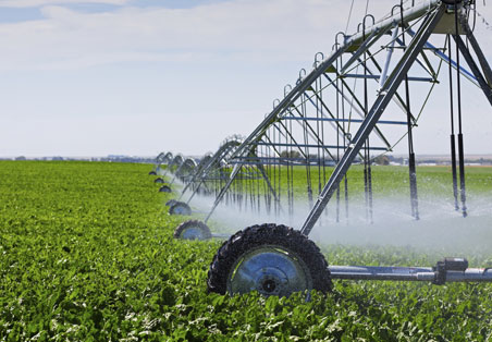 Irrigation - ppKinetics